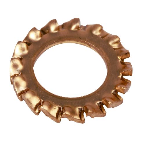 M10 Int Serrated Lock Washer Phosphor Bronze