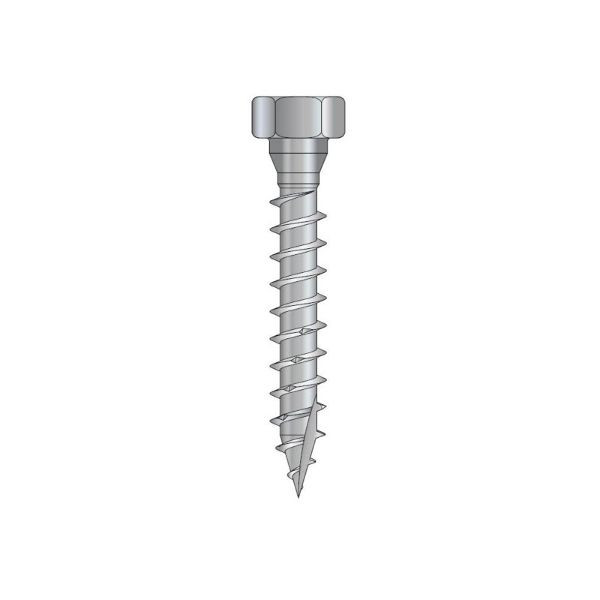 Simpson 10x40mm SSH Hex Head Connector Screw