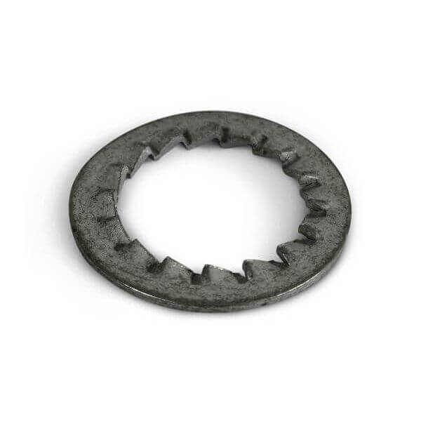 M10 Internal Serrated Locking Washer BZP