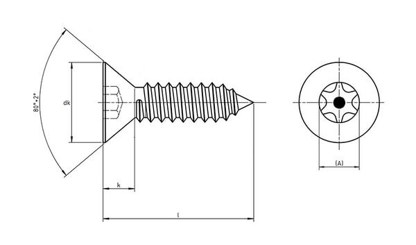 technical line drawing of pin torx countersunk self-tapping screws